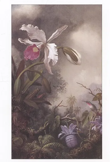 Мартин Джонсон Хид. Цветы (набор открыток) - фото 5