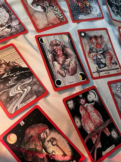 The Wild Dark Tarot / Дикое Темное Таро - фото 13