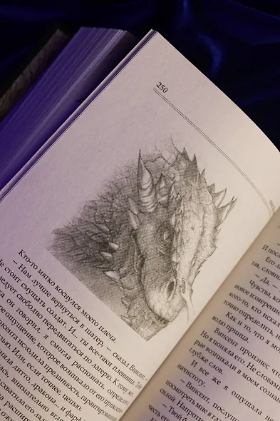 Сожженные земли. Павший - фото 11