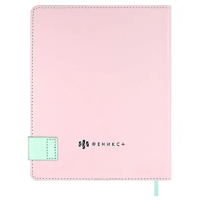 Дневник шк. "Всё норм" кожзам, тв.переплёт, тиснение фольгой, магнит.клапан, пантон, одно ляссе, загругл.углы, универс.шпаргалка - фото 2