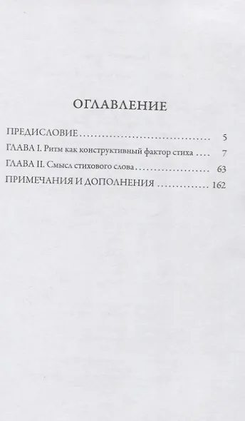 Проблема стихотворного языка - фото 2
