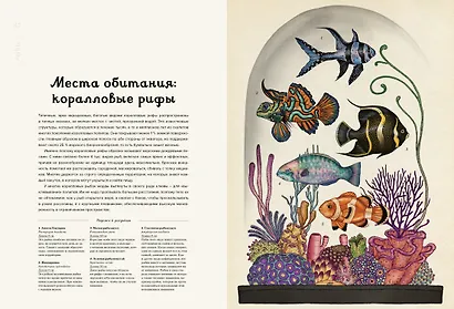 Анималиум - фото 10