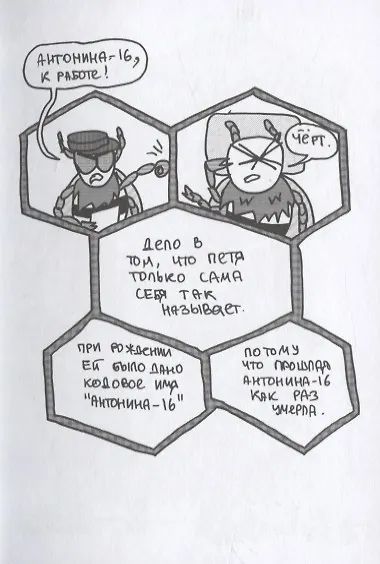 Соты - фото 5