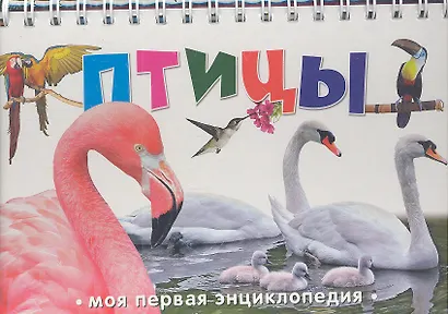 Птицы - фото 2