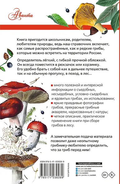 Грибы России. Определитель - фото 2