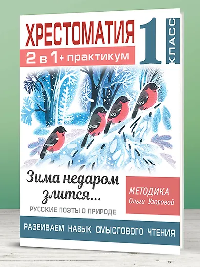 Хрестоматия. Практикум. Развиваем навык смыслового чтения. Зима недаром злится. Русские поэты о природе. 1 класс - фото 6