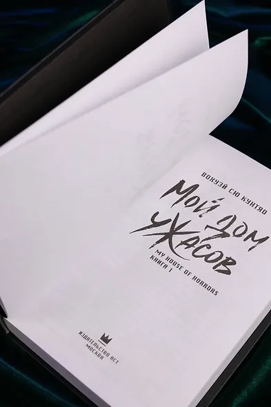 Мой дом ужасов. Книга 1 (My House of Horrors). Новелла - фото 14