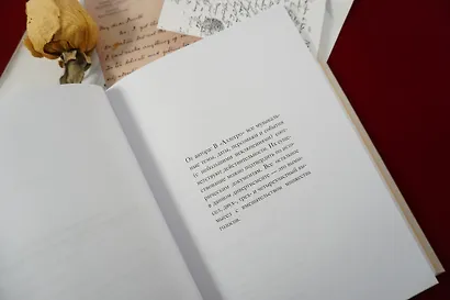 Аллегро - фото 9