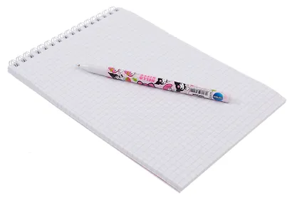 Скетчбук А5 60 листов "Куроми" + ручка шариковая синяя - фото 6