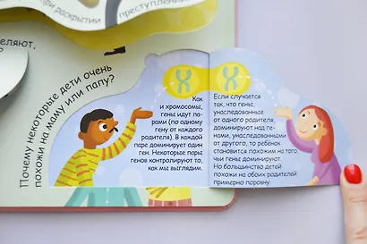 Волшебные окошки. Откуда берутся дети? - фото 9