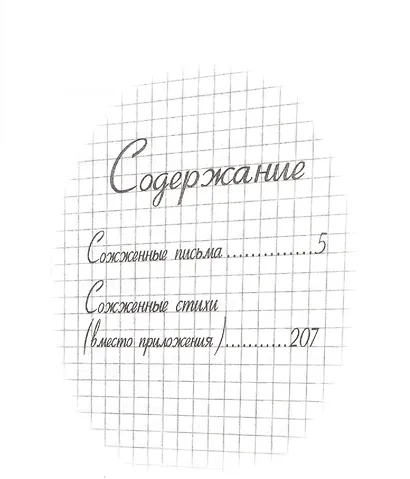 Сожженные письма: Повесть безумной любви - фото 2