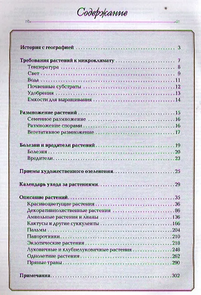 Комнатные растения - фото 2