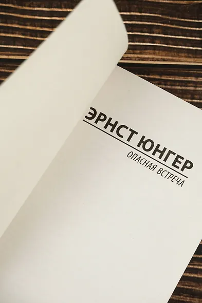 Опасная встреча - фото 7