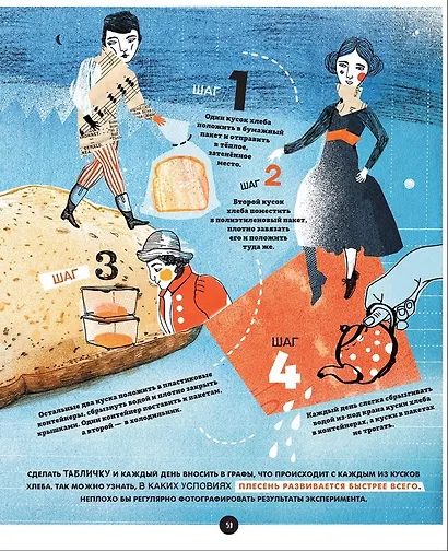 Грибы. Удивительные и малоизвестные факты из жизни грибов - фото 4