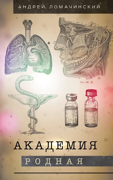 Академия родная - фото 1