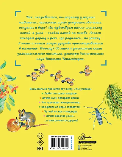 Для чего коту усы? - фото 2