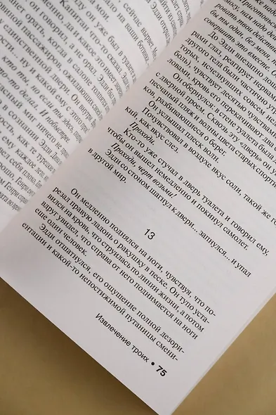 Извлечение троих: из цикла "Темная Башня" - фото 11