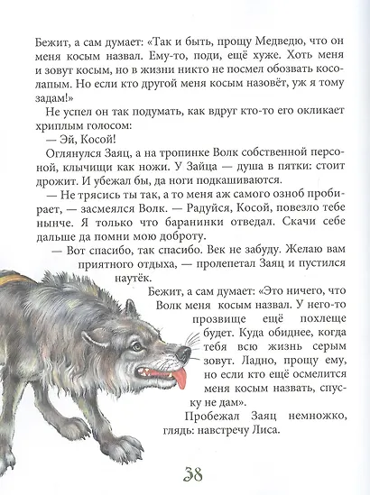 Лесные истории - фото 3