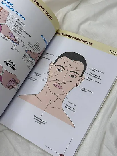 Акупрессура. Иллюстрированный атлас - фото 4