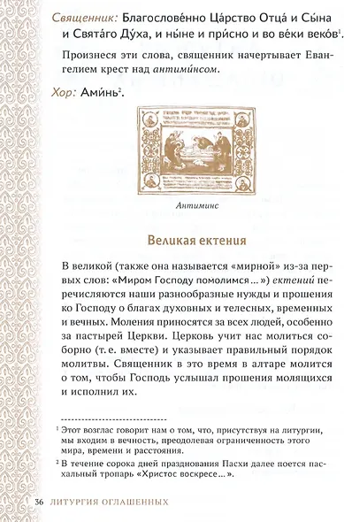 Главное таинство Церкви. Божественная Литургия с пояснениями - фото 4