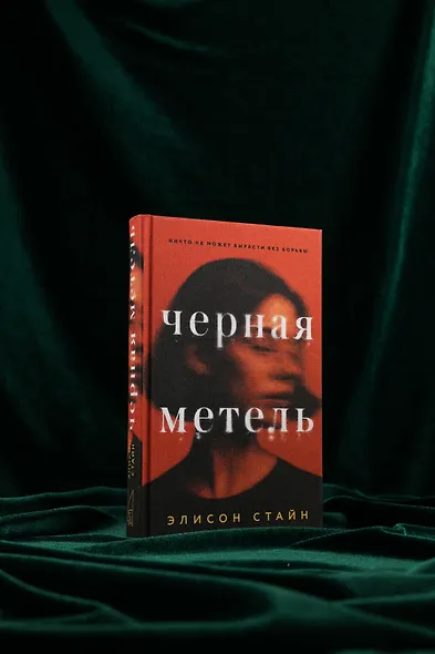 Черная метель - фото 7