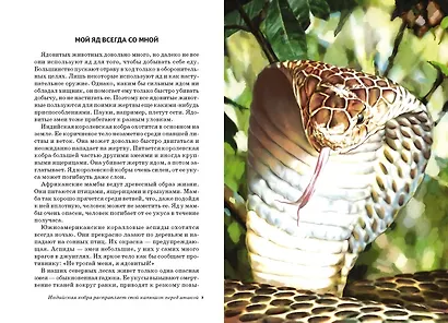 Хищники. Школьный путеводитель - фото 2