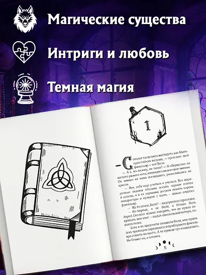 Амулет ведьмы - фото 5