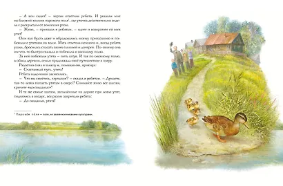 Золотой луг. Рассказы о животных (ил. Дударенко) - фото 5
