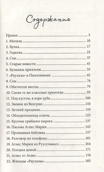 Агнес и тайный ключ - фото 2