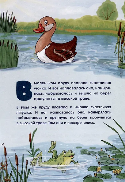 Пруд - фото 3