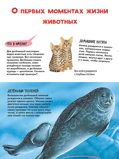 Детеныши животных - фото 7