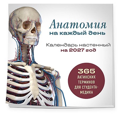 Анатомия на каждый день. 365 латинских терминов для студента-медика. Календарь настенный на 2027 год (300х300 мм) - фото 2