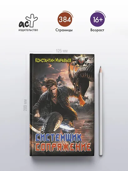 Системщик. Сопряжение - фото 4