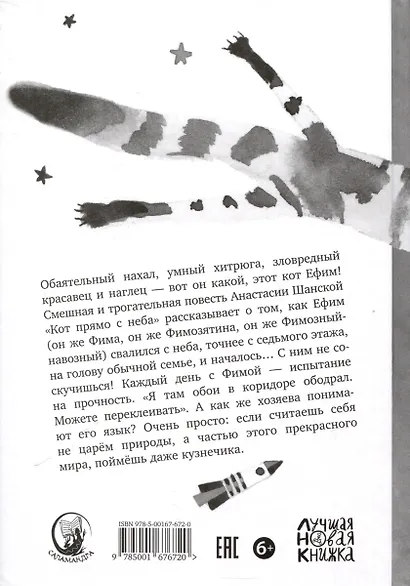 Кот прямо с неба - фото 2