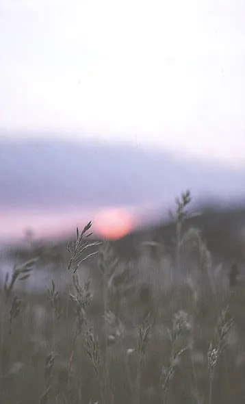 Под открытым небом. Как жить в гармонии с природой - фото 4