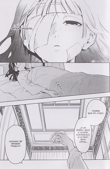 Монолог фармацевта. Том 4 (Kusuriya no Hitorigoto). Манга - фото 10