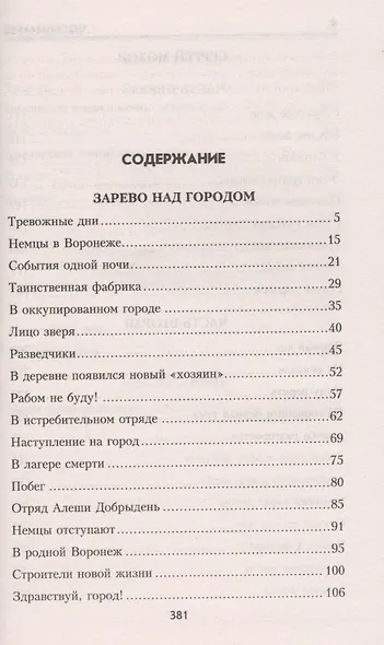 Зарево над городом - фото 2