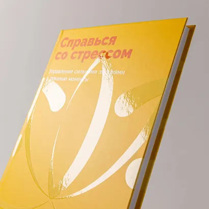 Справься со стрессом: Управление сильными эмоциями в тяжелые моменты - фото 3