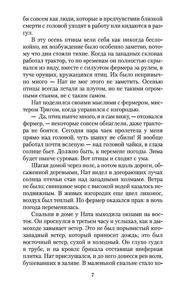 Птицы и другие истории - фото 9