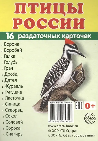 Птицы России. 16 раздаточных карточек с текстом - фото 2