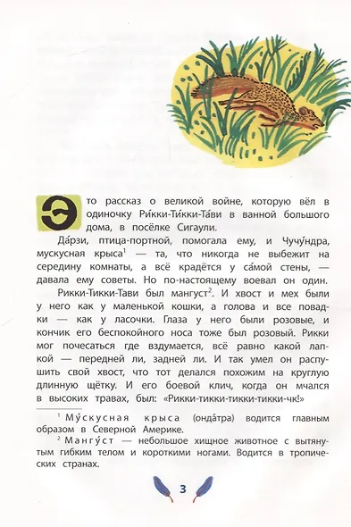 Рикки-Тикки-Тави - фото 2