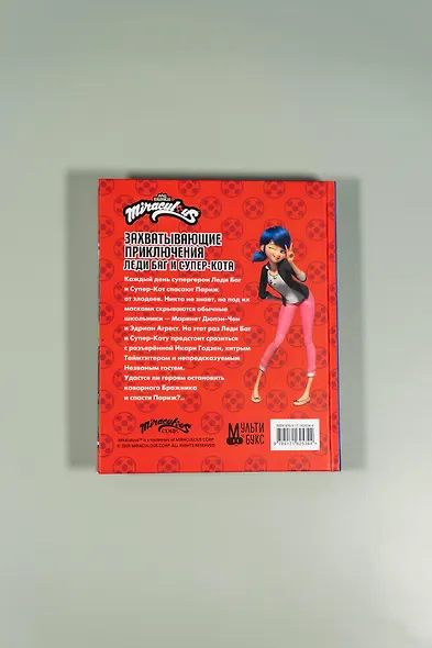 Леди Баг и Супер-Кот. Десперада - фото 10