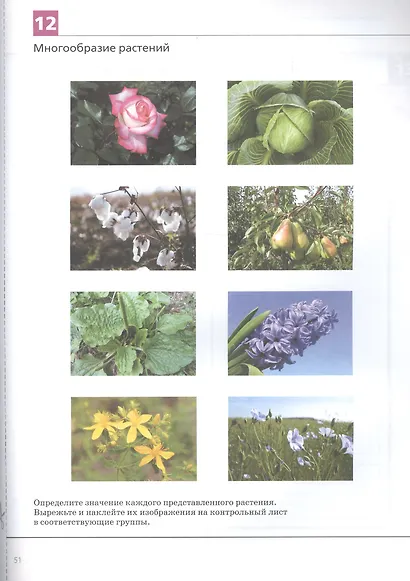 Биология. Введение в биологию. 5 класс. Альбом проектов - фото 6