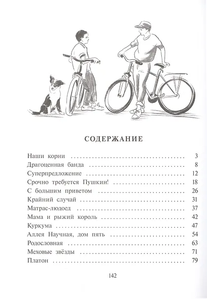 Скорость весны - фото 2