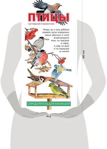Птицы. Наглядный справочник - фото 2