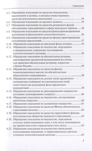 Имущественные иммунитеты в исполнительном производстве. Научно-практическое пособие - фото 6