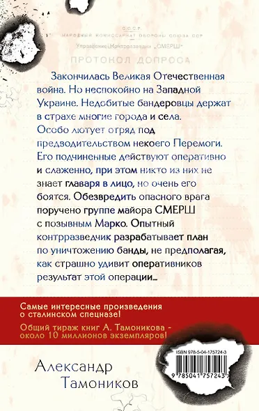 Бой с невидимкой - фото 2