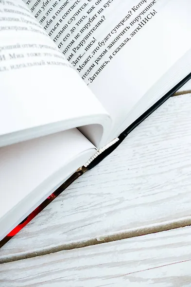 Песнь Сюзанны : из цикла «Темная Башня» - фото 10