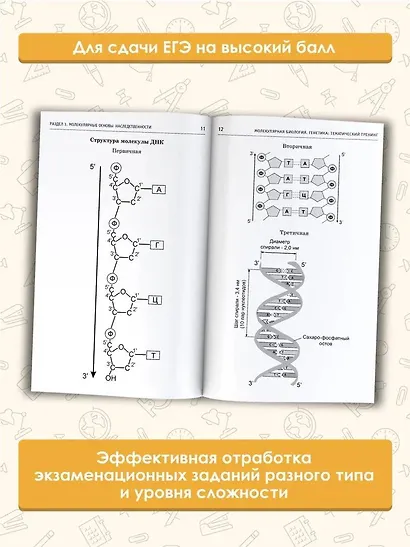 ЕГЭ. Молекулярная биология. Генетика. Тематический тренинг для подготовки к единому государственному экзамену - фото 4