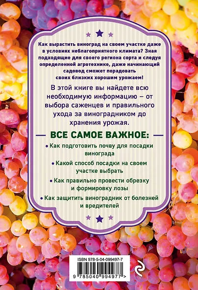 Виноград. Секреты выращивания для любого региона - фото 2